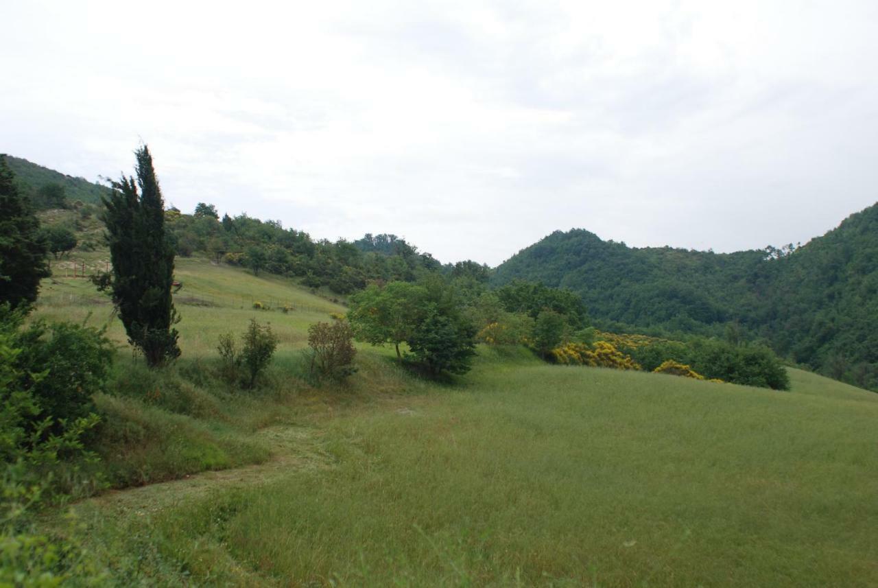 Casa Vinto Ξενοδοχείο Cagli Εξωτερικό φωτογραφία