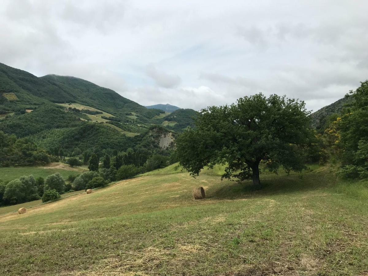 Casa Vinto Ξενοδοχείο Cagli Εξωτερικό φωτογραφία